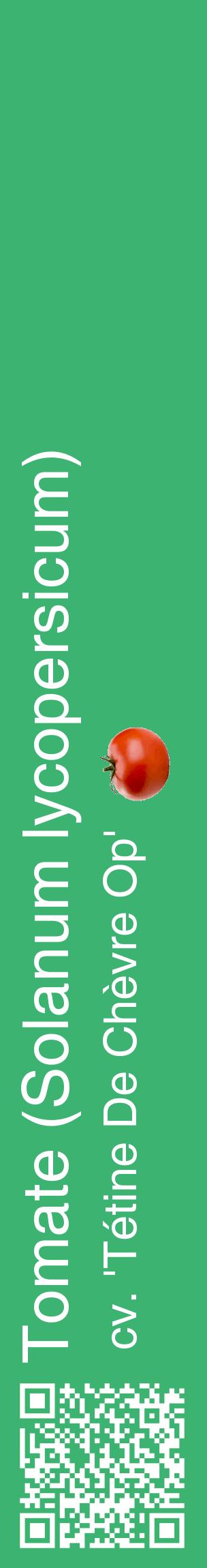 Étiquette de : Solanum lycopersicum cv. 'Tétine De Chèvre Op' - format c - style blanche12_basiquehel avec qrcode et comestibilité simplifiée