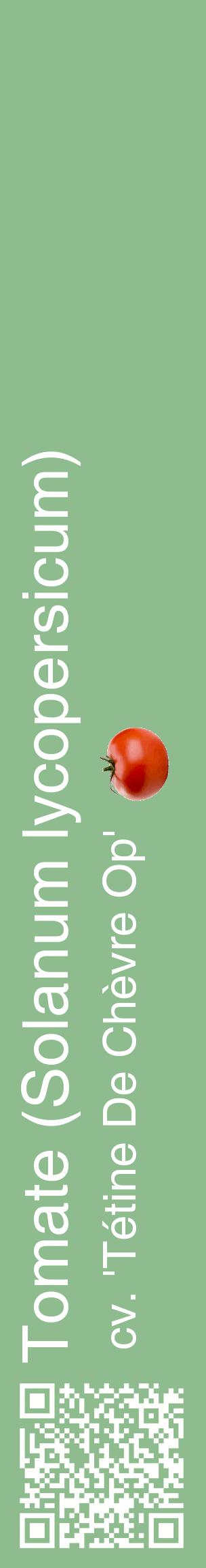 Étiquette de : Solanum lycopersicum cv. 'Tétine De Chèvre Op' - format c - style blanche13_basiquehel avec qrcode et comestibilité simplifiée