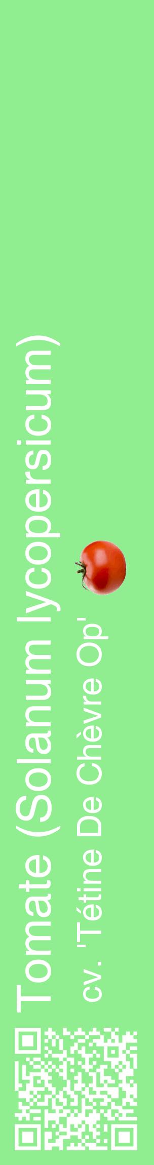 Étiquette de : Solanum lycopersicum cv. 'Tétine De Chèvre Op' - format c - style blanche15_basiquehel avec qrcode et comestibilité simplifiée