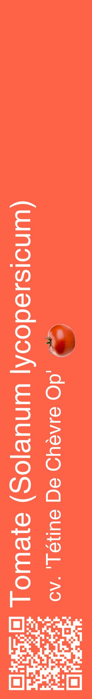 Étiquette de : Solanum lycopersicum cv. 'Tétine De Chèvre Op' - format c - style blanche25_basiquehel avec qrcode et comestibilité simplifiée