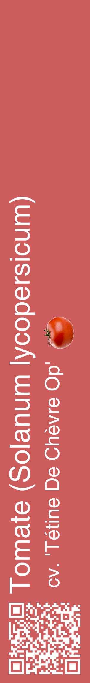 Étiquette de : Solanum lycopersicum cv. 'Tétine De Chèvre Op' - format c - style blanche35_basiquehel avec qrcode et comestibilité simplifiée