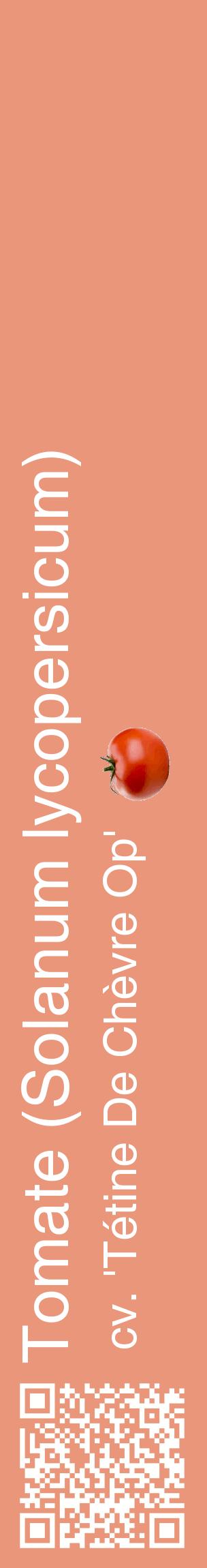 Étiquette de : Solanum lycopersicum cv. 'Tétine De Chèvre Op' - format c - style blanche37_basiquehel avec qrcode et comestibilité simplifiée