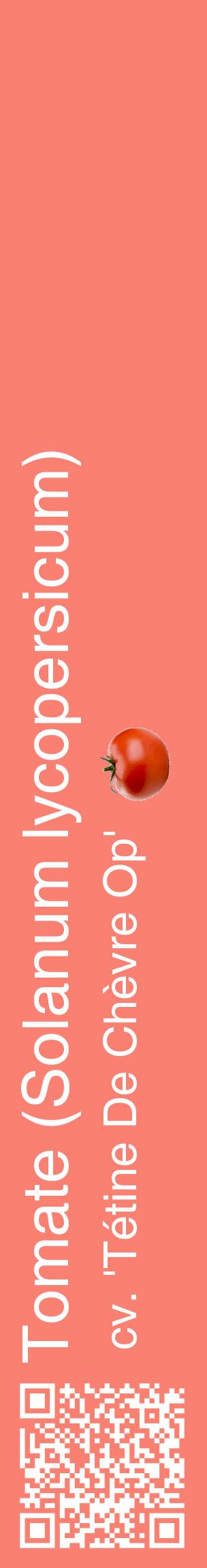 Étiquette de : Solanum lycopersicum cv. 'Tétine De Chèvre Op' - format c - style blanche38_basiquehel avec qrcode et comestibilité simplifiée