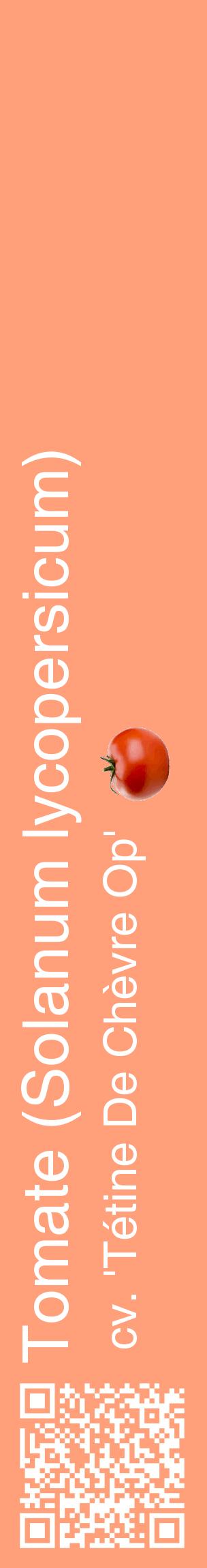 Étiquette de : Solanum lycopersicum cv. 'Tétine De Chèvre Op' - format c - style blanche39_basiquehel avec qrcode et comestibilité simplifiée