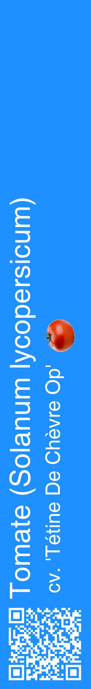 Étiquette de : Solanum lycopersicum cv. 'Tétine De Chèvre Op' - format c - style blanche3_basiquehel avec qrcode et comestibilité simplifiée