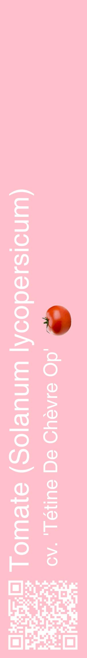 Étiquette de : Solanum lycopersicum cv. 'Tétine De Chèvre Op' - format c - style blanche40_basiquehel avec qrcode et comestibilité simplifiée