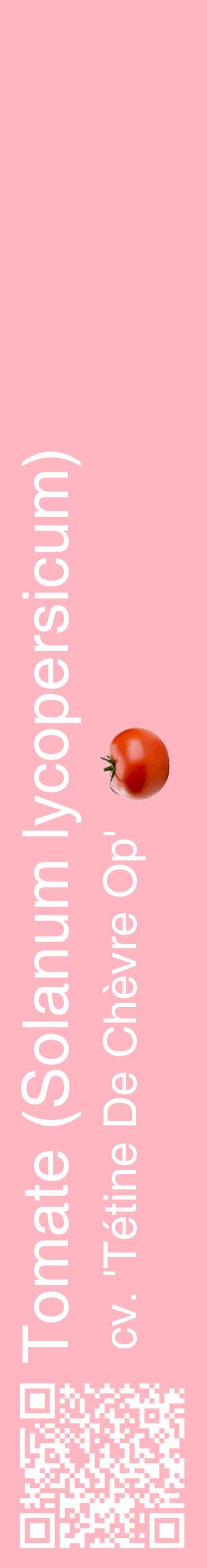 Étiquette de : Solanum lycopersicum cv. 'Tétine De Chèvre Op' - format c - style blanche41_basiquehel avec qrcode et comestibilité simplifiée