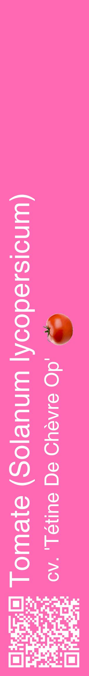 Étiquette de : Solanum lycopersicum cv. 'Tétine De Chèvre Op' - format c - style blanche42_basiquehel avec qrcode et comestibilité simplifiée
