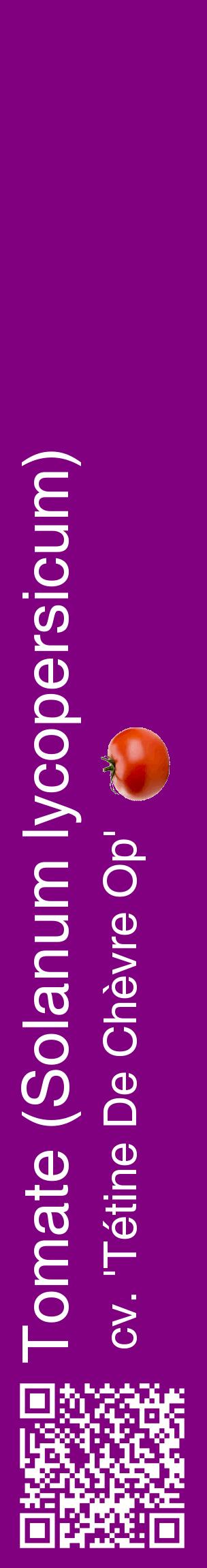 Étiquette de : Solanum lycopersicum cv. 'Tétine De Chèvre Op' - format c - style blanche46_basiquehel avec qrcode et comestibilité simplifiée