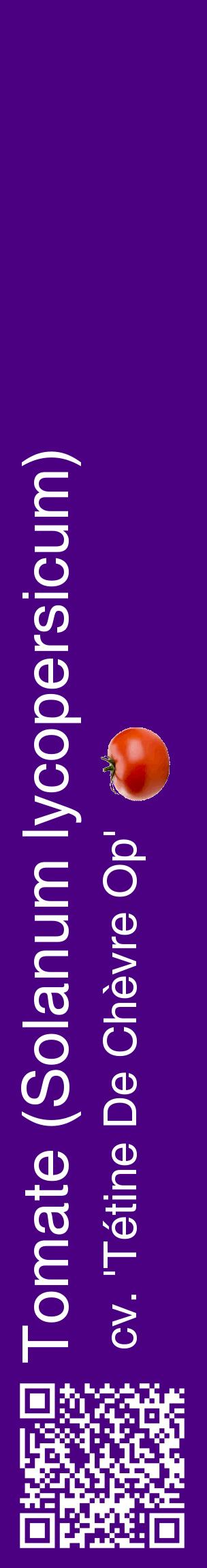 Étiquette de : Solanum lycopersicum cv. 'Tétine De Chèvre Op' - format c - style blanche47_basiquehel avec qrcode et comestibilité simplifiée