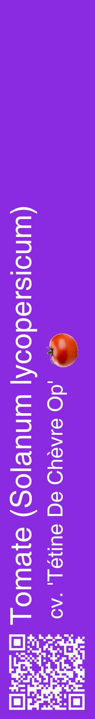 Étiquette de : Solanum lycopersicum cv. 'Tétine De Chèvre Op' - format c - style blanche49_basiquehel avec qrcode et comestibilité simplifiée