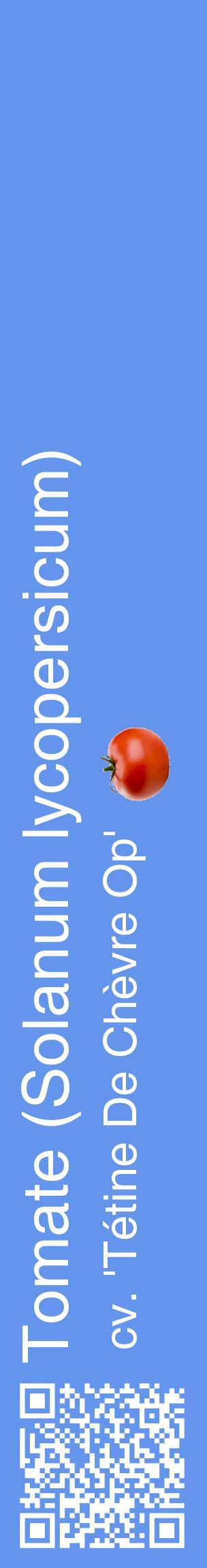 Étiquette de : Solanum lycopersicum cv. 'Tétine De Chèvre Op' - format c - style blanche4_basiquehel avec qrcode et comestibilité simplifiée