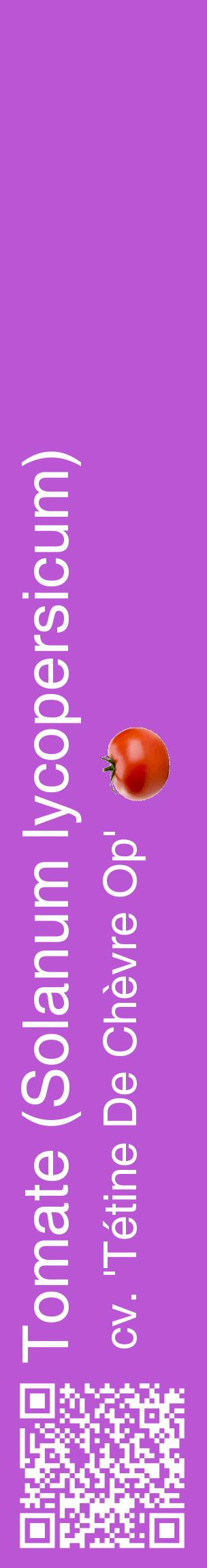 Étiquette de : Solanum lycopersicum cv. 'Tétine De Chèvre Op' - format c - style blanche50_basiquehel avec qrcode et comestibilité simplifiée