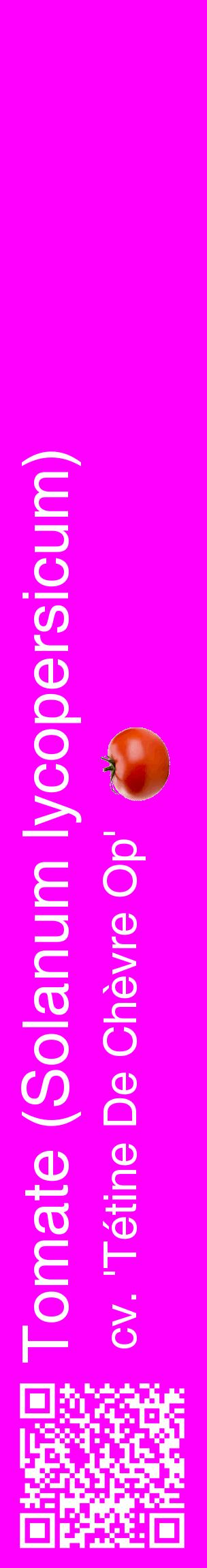 Étiquette de : Solanum lycopersicum cv. 'Tétine De Chèvre Op' - format c - style blanche51_basiquehel avec qrcode et comestibilité simplifiée