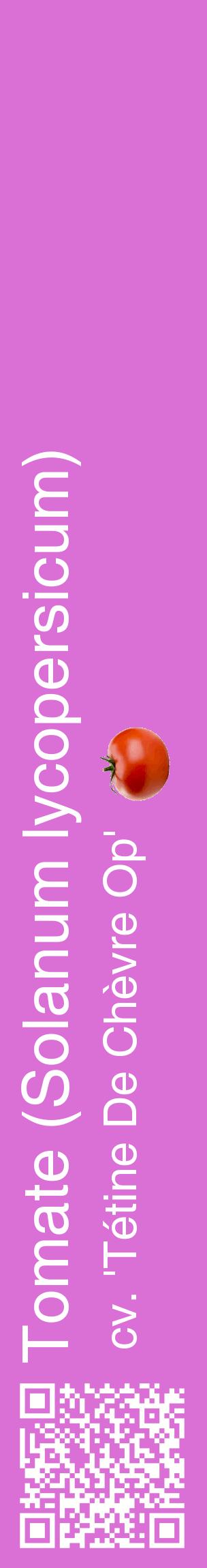 Étiquette de : Solanum lycopersicum cv. 'Tétine De Chèvre Op' - format c - style blanche52_basiquehel avec qrcode et comestibilité simplifiée