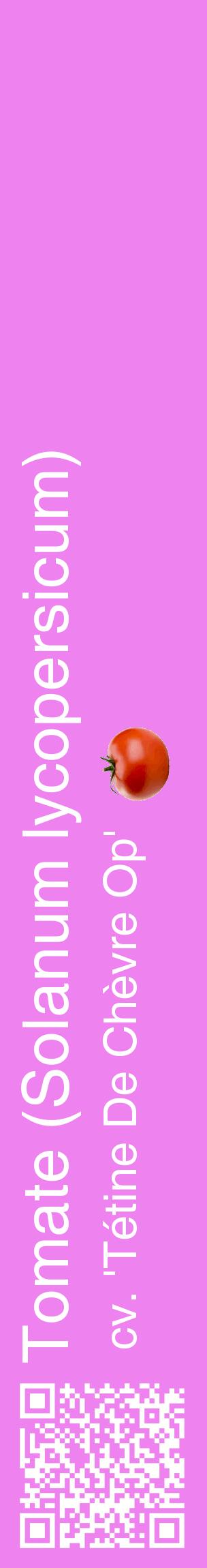 Étiquette de : Solanum lycopersicum cv. 'Tétine De Chèvre Op' - format c - style blanche53_basiquehel avec qrcode et comestibilité simplifiée