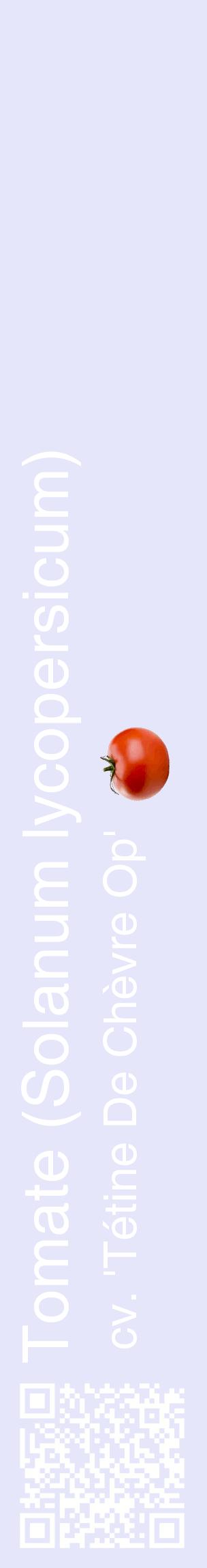 Étiquette de : Solanum lycopersicum cv. 'Tétine De Chèvre Op' - format c - style blanche55_basiquehel avec qrcode et comestibilité simplifiée