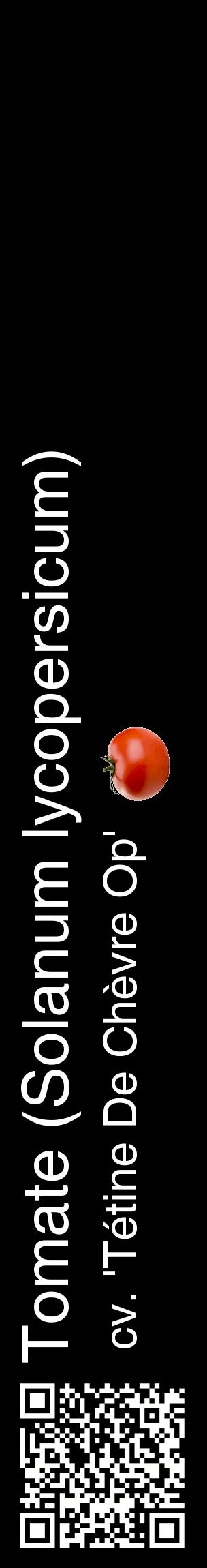 Étiquette de : Solanum lycopersicum cv. 'Tétine De Chèvre Op' - format c - style blanche59_basiquehel avec qrcode et comestibilité simplifiée