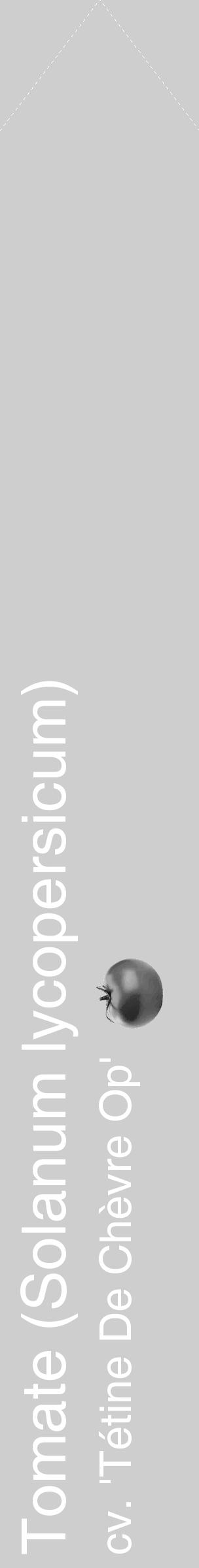 Étiquette de : Solanum lycopersicum cv. 'Tétine De Chèvre Op' - format c - style blanche17_simple_simplehel avec comestibilité simplifiée - position verticale