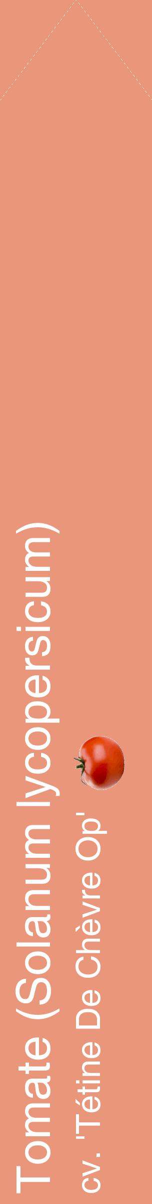 Étiquette de : Solanum lycopersicum cv. 'Tétine De Chèvre Op' - format c - style blanche37_simplehel avec comestibilité simplifiée