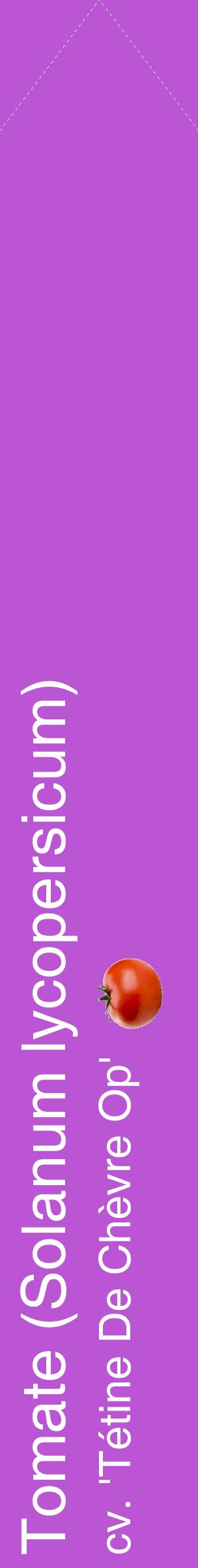 Étiquette de : Solanum lycopersicum cv. 'Tétine De Chèvre Op' - format c - style blanche50_simplehel avec comestibilité simplifiée
