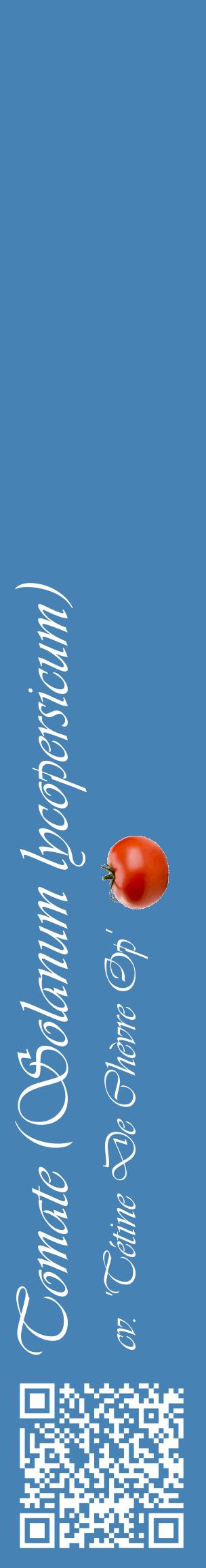 Étiquette de : Solanum lycopersicum cv. 'Tétine De Chèvre Op' - format c - style blanche5_basiqueviv avec qrcode et comestibilité simplifiée