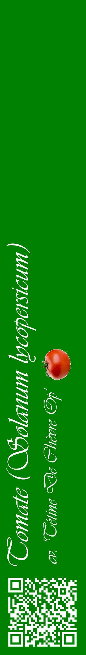 Étiquette de : Solanum lycopersicum cv. 'Tétine De Chèvre Op' - format c - style blanche9_basiqueviv avec qrcode et comestibilité simplifiée