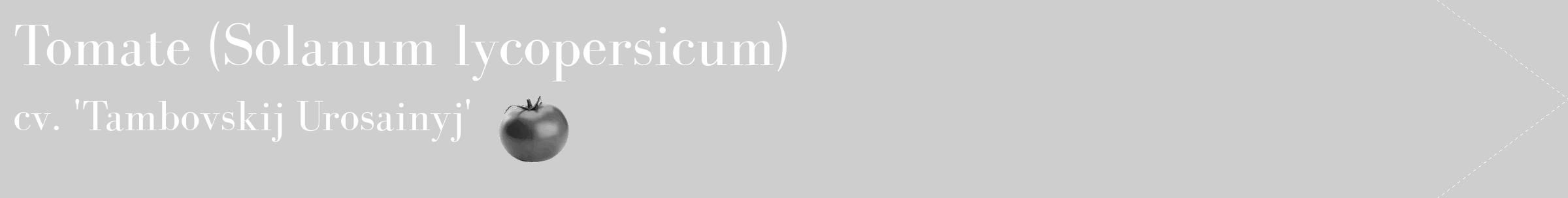 Étiquette de : Solanum lycopersicum cv. 'Tambovskij Urosainyj' - format c - style blanche17_simple_simplebod avec comestibilité simplifiée
