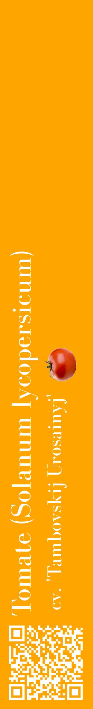 Étiquette de : Solanum lycopersicum cv. 'Tambovskij Urosainyj' - format c - style blanche22_basiquebod avec qrcode et comestibilité simplifiée