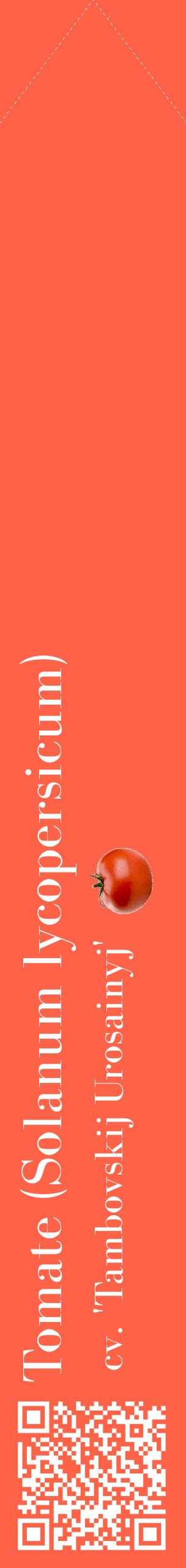 Étiquette de : Solanum lycopersicum cv. 'Tambovskij Urosainyj' - format c - style blanche25_simplebod avec qrcode et comestibilité simplifiée