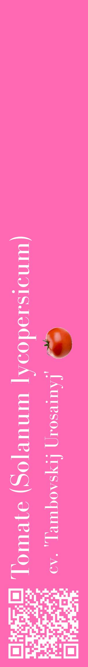 Étiquette de : Solanum lycopersicum cv. 'Tambovskij Urosainyj' - format c - style blanche42_basiquebod avec qrcode et comestibilité simplifiée