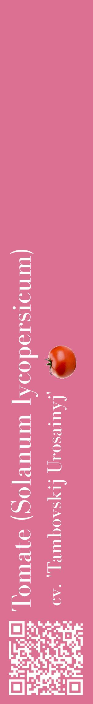 Étiquette de : Solanum lycopersicum cv. 'Tambovskij Urosainyj' - format c - style blanche44_basiquebod avec qrcode et comestibilité simplifiée