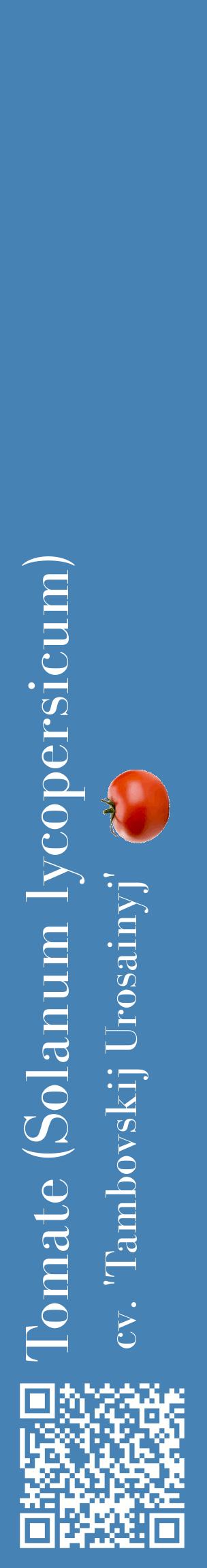 Étiquette de : Solanum lycopersicum cv. 'Tambovskij Urosainyj' - format c - style blanche5_basiquebod avec qrcode et comestibilité simplifiée