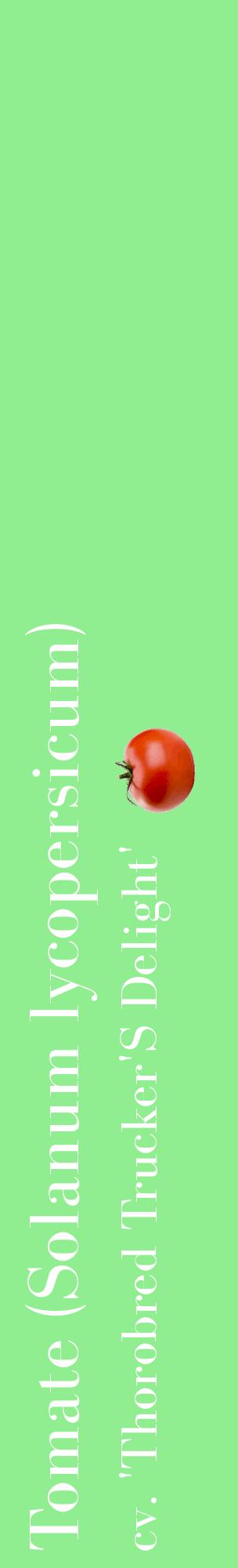 Étiquette de : Solanum lycopersicum cv. 'Thorobred Trucker'S Delight' - format c - style blanche15_basiquebod avec comestibilité simplifiée