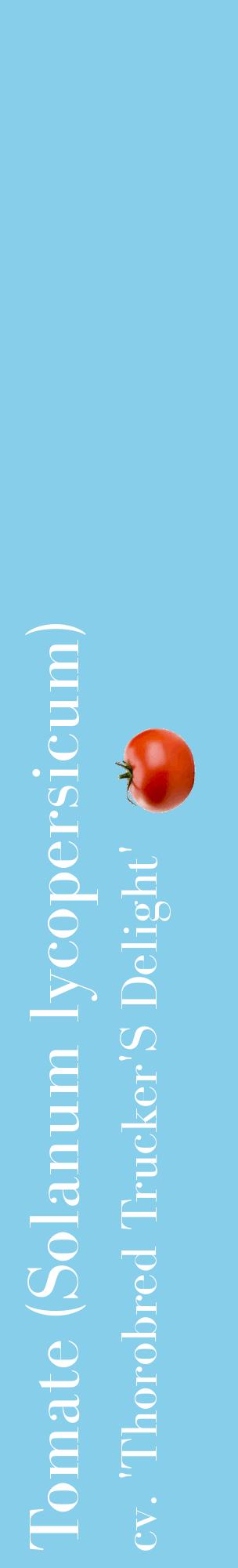 Étiquette de : Solanum lycopersicum cv. 'Thorobred Trucker'S Delight' - format c - style blanche1_basiquebod avec comestibilité simplifiée