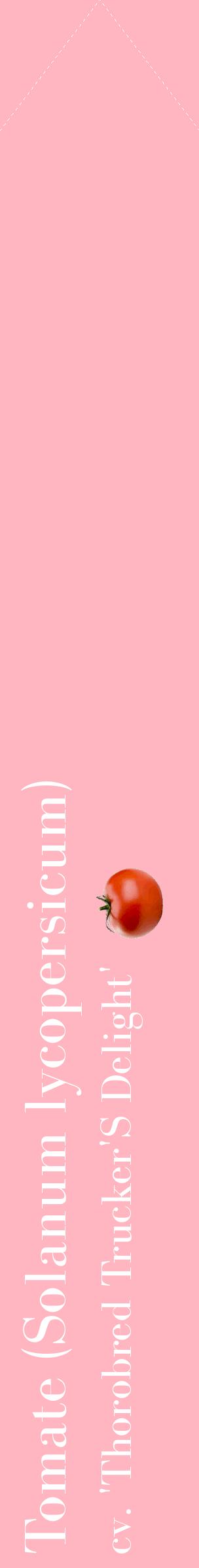 Étiquette de : Solanum lycopersicum cv. 'Thorobred Trucker'S Delight' - format c - style blanche41_simplebod avec comestibilité simplifiée