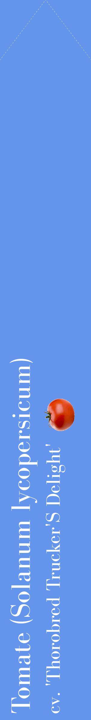 Étiquette de : Solanum lycopersicum cv. 'Thorobred Trucker'S Delight' - format c - style blanche4_simplebod avec comestibilité simplifiée