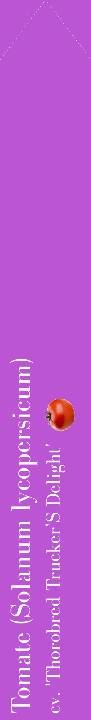 Étiquette de : Solanum lycopersicum cv. 'Thorobred Trucker'S Delight' - format c - style blanche50_simplebod avec comestibilité simplifiée
