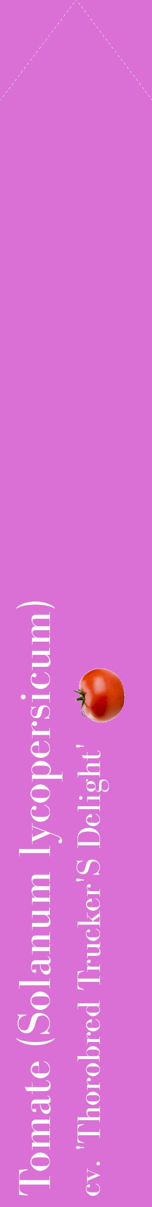 Étiquette de : Solanum lycopersicum cv. 'Thorobred Trucker'S Delight' - format c - style blanche52_simplebod avec comestibilité simplifiée