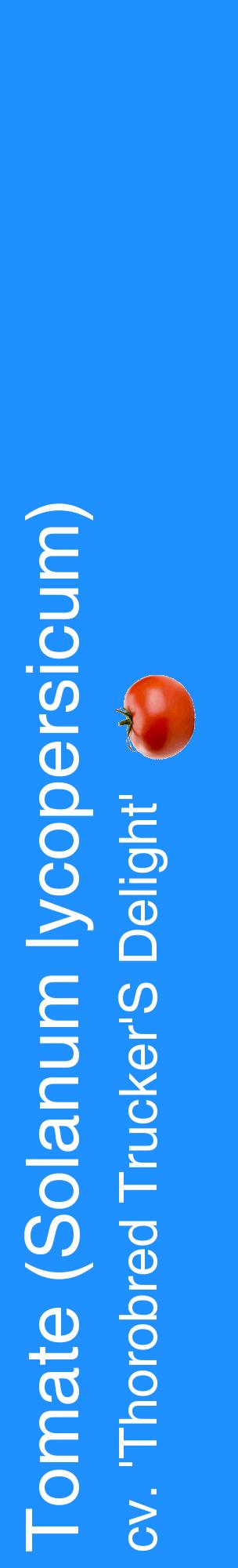 Étiquette de : Solanum lycopersicum cv. 'Thorobred Trucker'S Delight' - format c - style blanche3_basiquehel avec comestibilité simplifiée