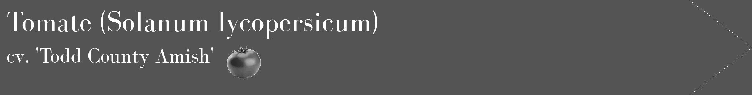 Étiquette de : Solanum lycopersicum cv. 'Todd County Amish' - format c - style blanche30_simple_simplebod avec comestibilité simplifiée