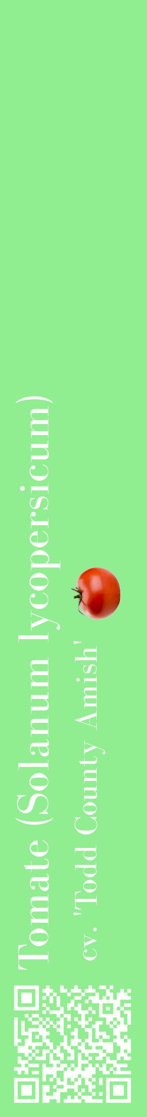 Étiquette de : Solanum lycopersicum cv. 'Todd County Amish' - format c - style blanche15_basiquebod avec qrcode et comestibilité simplifiée