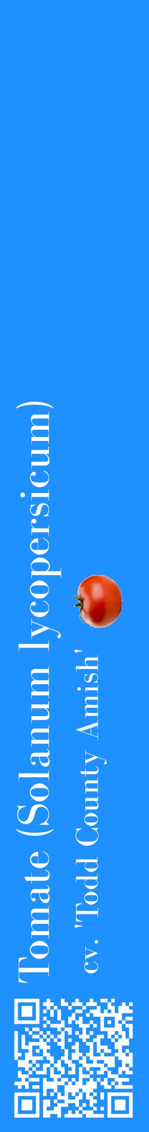 Étiquette de : Solanum lycopersicum cv. 'Todd County Amish' - format c - style blanche3_basiquebod avec qrcode et comestibilité simplifiée