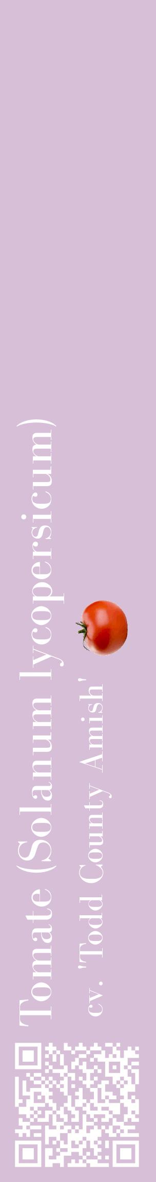 Étiquette de : Solanum lycopersicum cv. 'Todd County Amish' - format c - style blanche54_basiquebod avec qrcode et comestibilité simplifiée