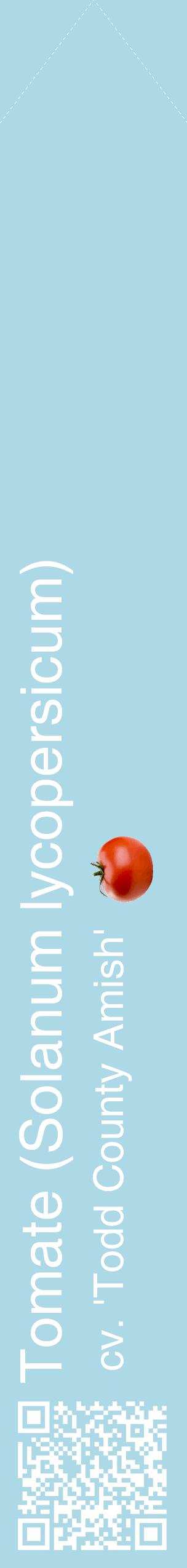 Étiquette de : Solanum lycopersicum cv. 'Todd County Amish' - format c - style blanche0_simplehel avec qrcode et comestibilité simplifiée
