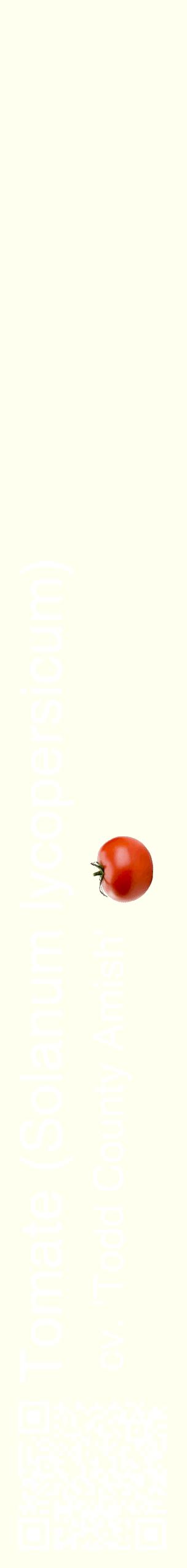 Étiquette de : Solanum lycopersicum cv. 'Todd County Amish' - format c - style blanche19_simplehel avec qrcode et comestibilité simplifiée