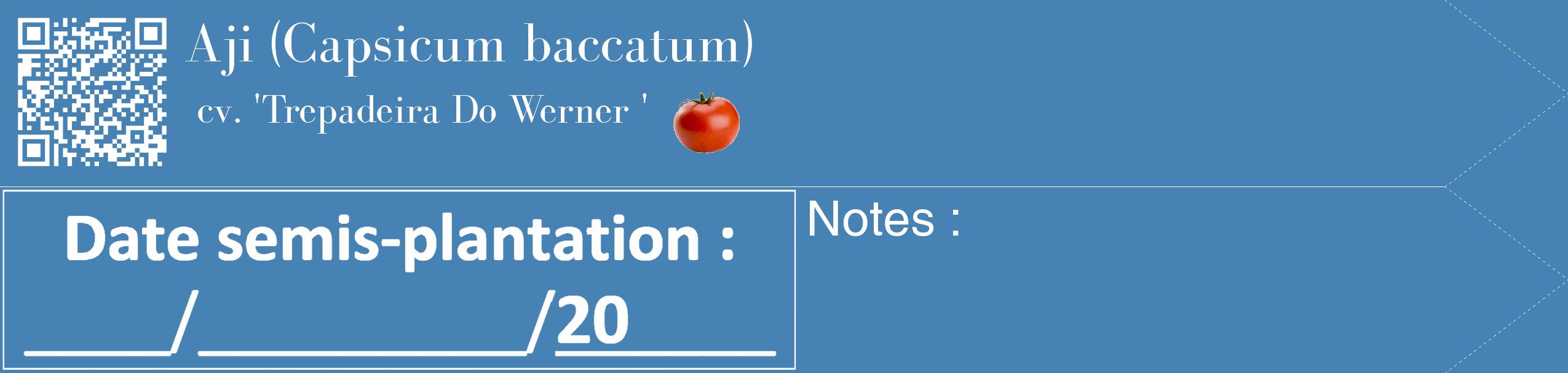 Étiquette de : Capsicum baccatum cv. 'Trepadeira Do Werner ' - format c - style blanche5_simple_simplebod avec qrcode et comestibilité simplifiée