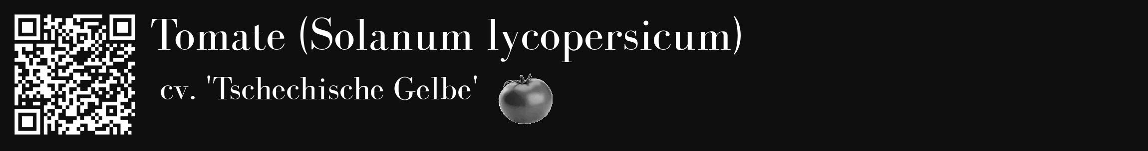 Étiquette de : Solanum lycopersicum cv. 'Tschechische Gelbe' - format c - style blanche7_basique_basiquebod avec qrcode et comestibilité simplifiée