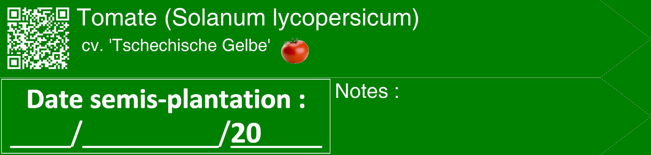 Étiquette de : Solanum lycopersicum cv. 'Tschechische Gelbe' - format c - style blanche9_simple_simplehel avec qrcode et comestibilité simplifiée