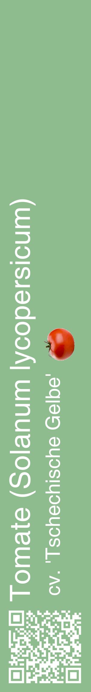 Étiquette de : Solanum lycopersicum cv. 'Tschechische Gelbe' - format c - style blanche13_basiquehel avec qrcode et comestibilité simplifiée